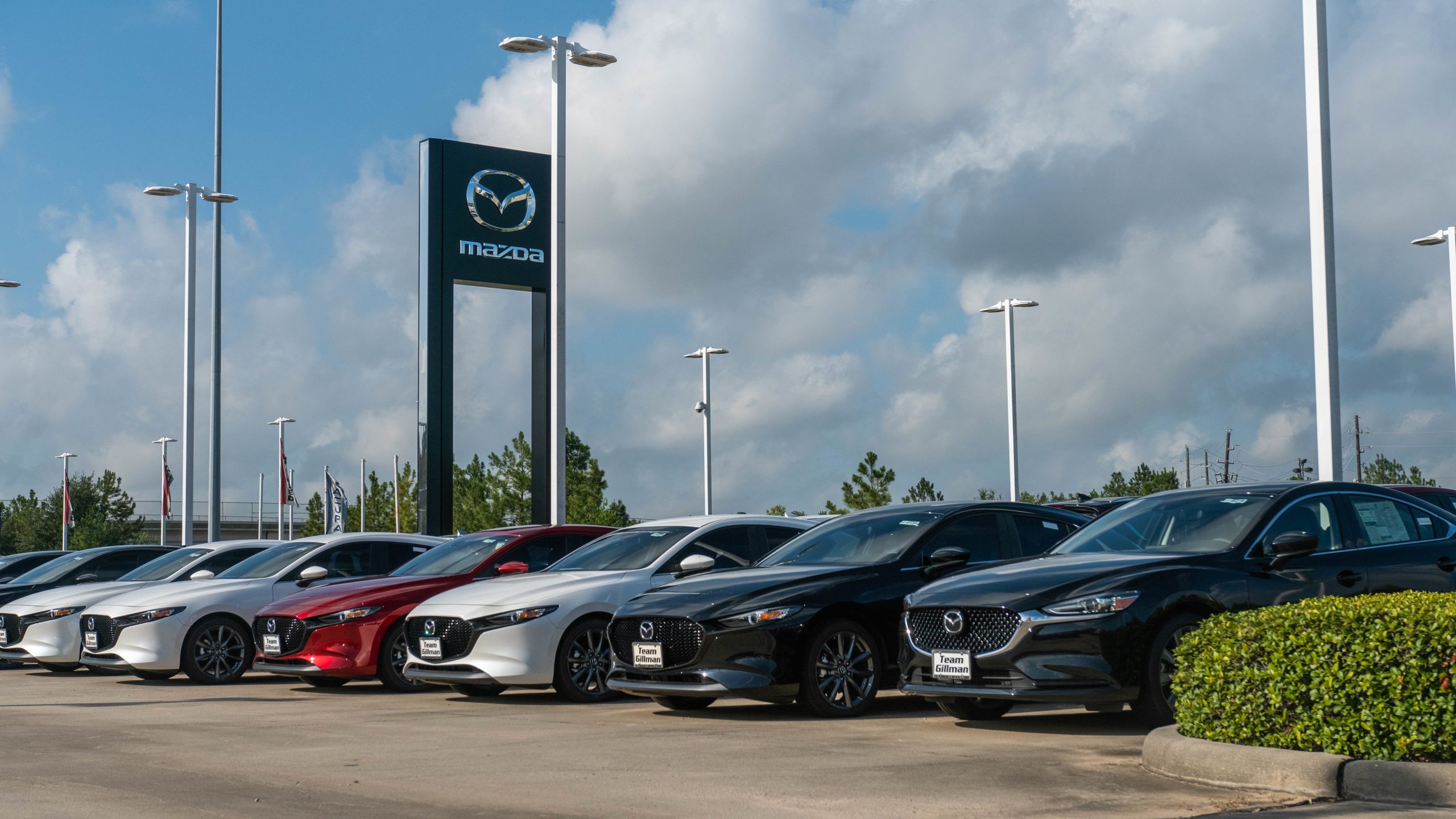 Cars for sale on a car lot