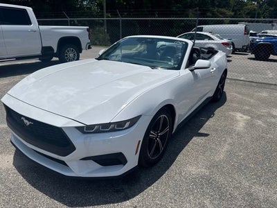 2025 Ford Mustang EcoBoost