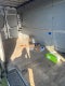 2016 Mercedes-Benz Sprinter Cargo Vans EXT
