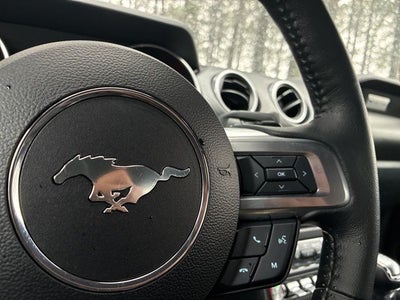 2021 Ford Mustang EcoBoost