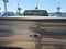 2012 Ford F-150 FX4