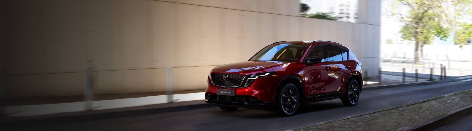 Surrounding Areas in Wilmington, NC